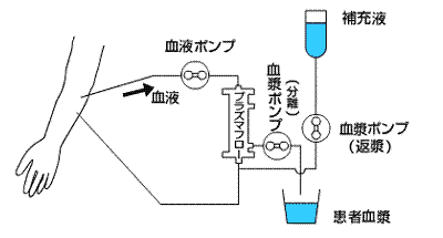 関連画像